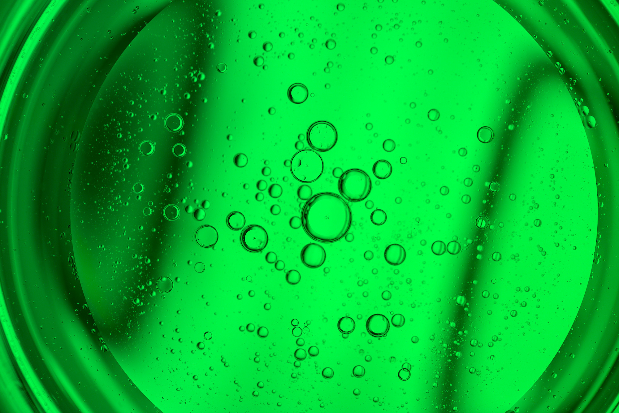 24-11-22-eosr-r2a0732.jpg